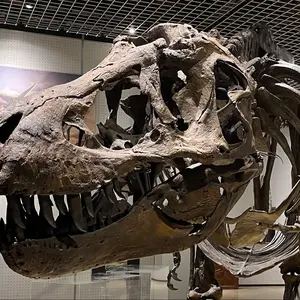 上の空怪獣ボー009Ver.クリアブルー ソフビ 上の空怪獣ボー009Ver.クリアブルー ソフビ - メルカリ