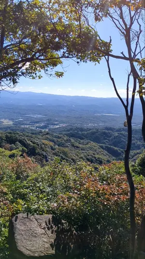 星野仙一　書　夢　額縁入　サイン　楽天イーグルス Amazon.co.jp: 星野仙一 書 夢 額縁入 サイン 楽天イーグルス