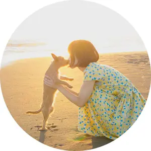 羊毛フェルト キジ白猫 猫 ネコ ハンドメイド 置物 (羊毛