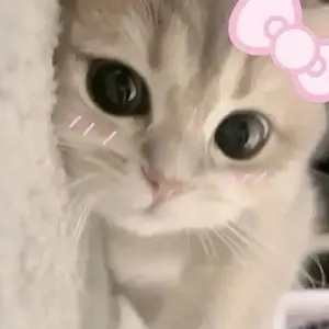 ☆急ぎ☆ カリスマ 猿川慧 3周年 蓄光缶バッジ 42個 - メルカリ