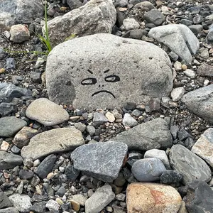 ラグビー トヨタヴェルブリッツ ハーフパンツ - メルカリ