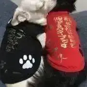 大島紬＋黒絵羽織よりバイアス仕立てロングワンピース 龍郷柄大島紬＋黒絵羽織バイアス仕立てロングワンピース - メルカリ