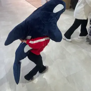 ecr33kanasou