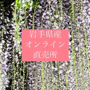 今日限り‼️岩手県産 天然葉わさび苗 20本 根付き - メルカリ
