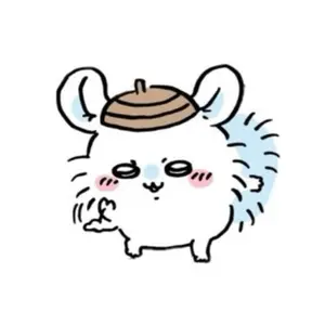 乃木坂46 生写真 掛橋沙耶香 コンプセット 初期(2019年)～2020年