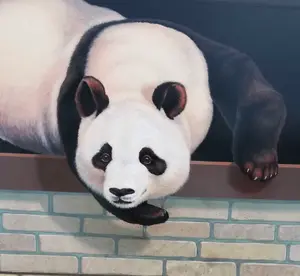 こぱんだ☆タンス整理中