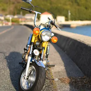 tenikichi01 TAKEKAWA スカット 106cc - メルカリ