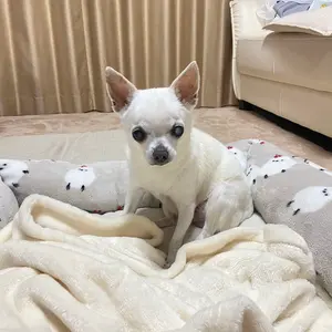 未着用♡ パーリーゲイツ モノグラム ニット サイズ1 レディース 楽天市場】パーリーゲイツ（セーター｜レディースウェア