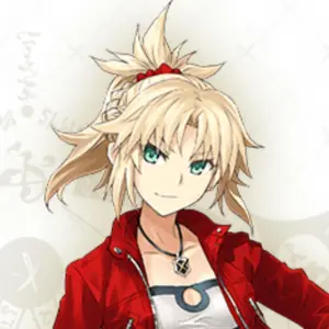 Fate/GrandOrder FGO fes 2024 FGOミニカード CDJapan : 