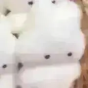 受付中♡おすわりぬい服♡オーダー受付ページ(にじぱぺ・10cm