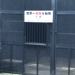 タイドミノースリムフライヤー175 6個セット海アメ海サクラマス
