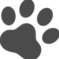在庫処分特価】ディスクローター【フロント】シビック EF1, EF2