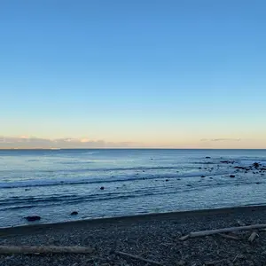 ルチアのアピールsarピカチュウsr テラスタルフェスex2箱バトルパートナーズ ルチアのアピールsarピカチュウsr テラスタルフェスex2箱バトル