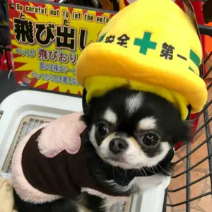 新品】ハスラー ヘッドライトリム メッキグリル 別売り可 値下げ