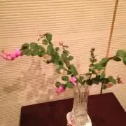 銀座和光 未使用 美しい鋏とペーパーナイフのセット | Shop at