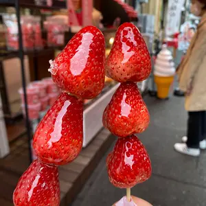 ミシェルマカロン ショートボレロアンサンブルギンガムワンピ