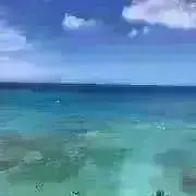仁阿弥道八 作 三島手雲鶴文盃 - メルカリ