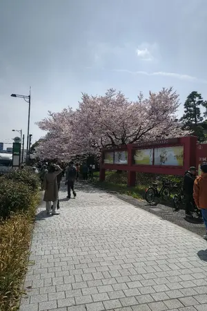 阪倉宜暢「運河の橋のたもと（オランダ・アムステルダム）」15号油彩,古い街並み 阪倉宜暢「運河の橋のたもと（オランダ・アムステルダム）」15号