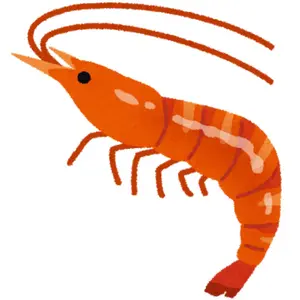 すぐ発送】CATCOCOONクラシカルドール 長袖 セットアップ 黄色