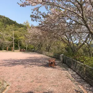 あんスタ バースデーブロマイド 桜河こはく - メルカリ