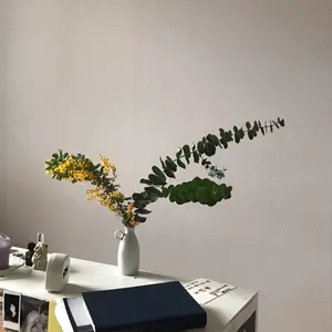Andymori 宇宙の果てはこの目の前に アナログ盤 レコード