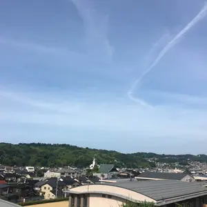 大きな　ガブリアス　クッション　ぬいぐるみ　お昼寝　おやすみ 大きな ガブリアス クッション ぬいぐるみ お昼寝 おやすみ
