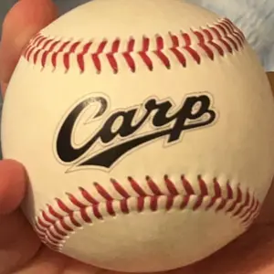 楽天イーグルス NPB 辰巳涼介実使用バット 支給品 野球 - メルカリ