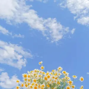ブルーロック スイパラ Flower Garden 乙夜 影汰 - メルカリ