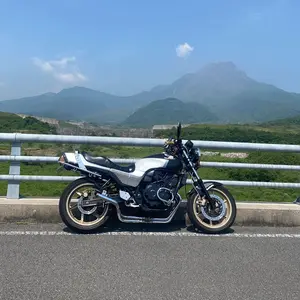 ラジエーターカバー　ジェイド250　かっぺ　空冷オイルクーラーのような見た目 ラジエーターカバー ジェイド250 かっぺ 空冷オイルクーラーの