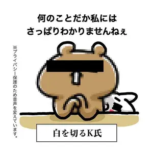 anello X Carp Big2Wayトートバッグ 広島 カープ アネロ - メルカリ