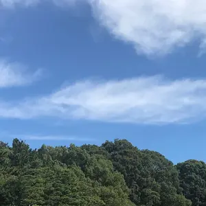HELIOS 3 シューマンレゾナンス波発生・地磁気ストレス調整器