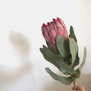 フランス♡ブロカントでオシャレな♡軽くて不思議な水切りバスケット♡ フライヤー♡ フランス♡ブロカントでオシャレな♡軽くて不思議な水切り
