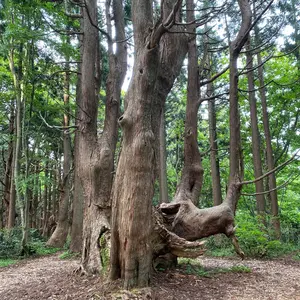 動作確認済】 激闘! クラッシュギアTURBO レイジングブリット