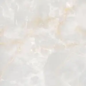 tnewties メニュー表で顔を隠している - メルカリ