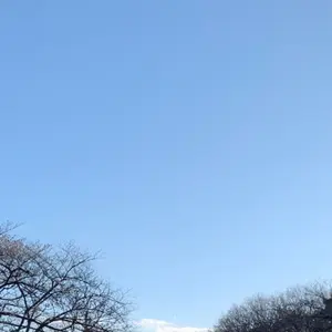 ☆コスパ最強☆ ヨドバシ福袋 プロジェクター お勧め dangbei