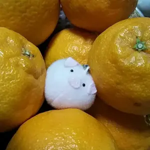 NARUTO 忍里 春野サクラ サクラ 缶バッジ ニジゲンノモリ - メルカリ