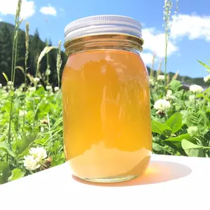 合計300g 桐と藤　天然蜂蜜　百花蜜　国産蜂蜜　非加熱　生はちみつ 岐阜県産 合計300g 桐と藤 天然蜂蜜 百花蜜 国産蜂蜜 非加熱 生はちみつ