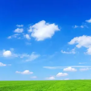 Re:ゼロから始める異世界生活 メモリアルプリマグラフィ 複製