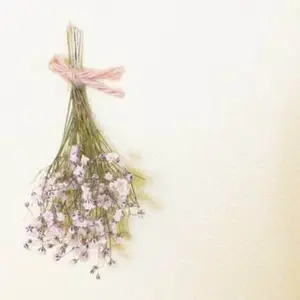 SEVENTEEN IS RIGHT HERE ラキドロ TSUTAYA ウジ SEVENTEEN 17 IS RIGHT HERE DEAR盤 ウジ コンプ - メルカリ