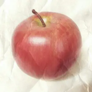 リラックマ ストロベリーパーティー ぬいぐるみ＆リール