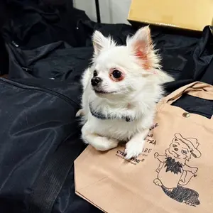 Ford ヴィンテージ スタジャン 80s MADE IN USA - メルカリ