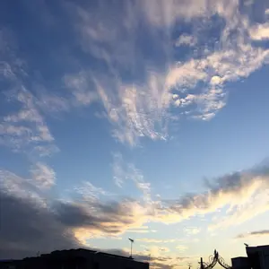フランス アンティーク 瓦 ハンギング 難あり - メルカリ