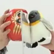 真夏のラフフェスくじ フースーヤ田中ショータイム - メルカリ