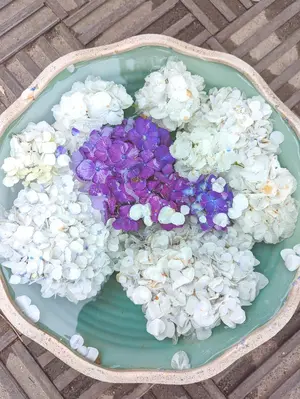 Michal Negrin ドット花柄ワンピース Michal Negrin ドット花柄ワンピース - メルカリ