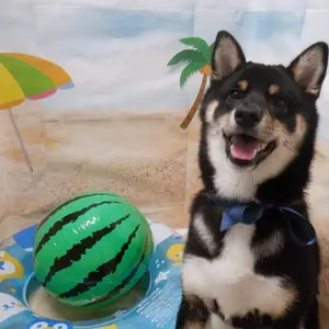 たろいも