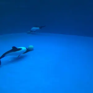 トイストーリー タイトルロゴ ピクサー 装飾 立体看板 大サイズ