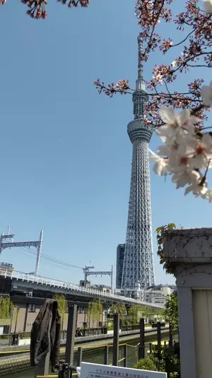 ひでHALLO
