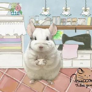 海外アンチピルマット ライトキャリー用 厚手 - メルカリ