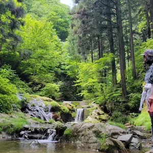 加藤重高作 織部刻文 皿 | Shop at Mercari from Japan! | Buyee