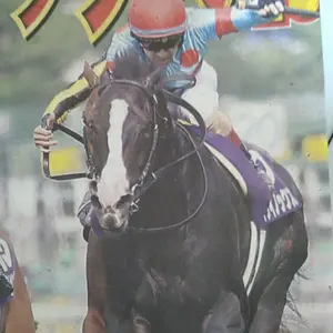 ドラゴンボール　カードダス　No.5 亀仙人　1995 ドラゴンボール カードダス 5 亀仙人 1995 - メルカリ